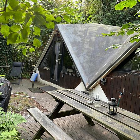 Chalet Scandinave Avec Sauna Ir - In The Woods Gesves Esterno foto