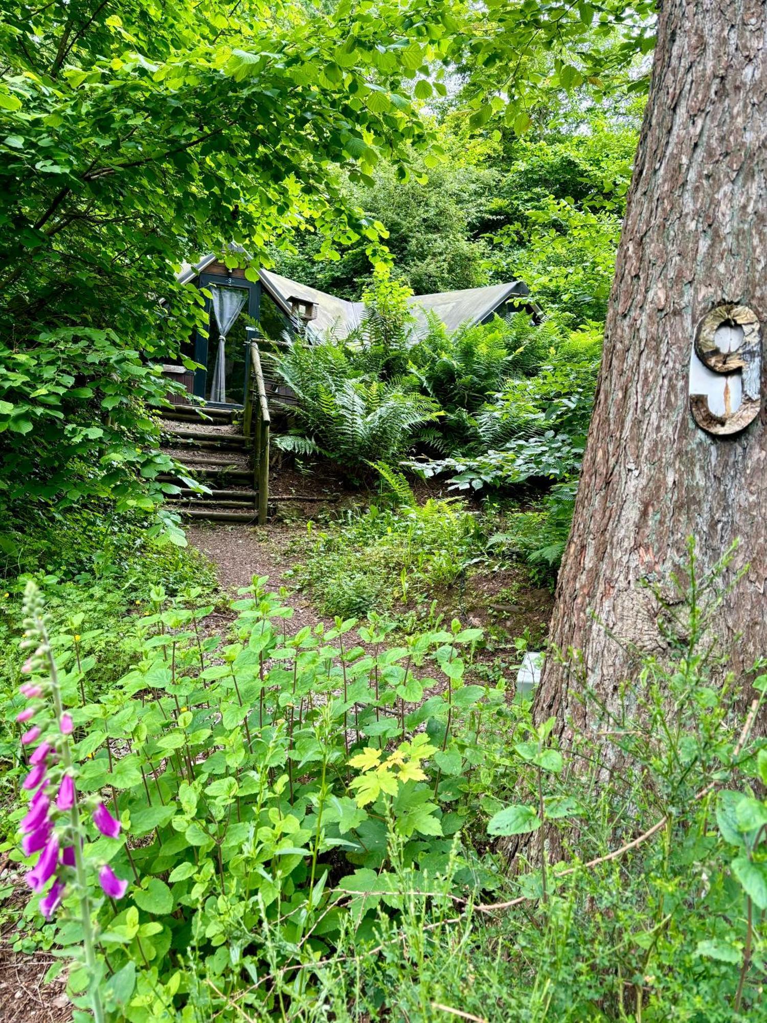 Chalet Scandinave Avec Sauna Ir - In The Woods Gesves Esterno foto
